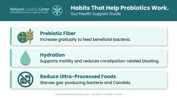 Three lifestyle habits that maximize probiotic effectiveness for gut health