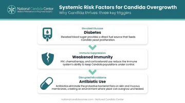 Three systemic Candida risk factors diabetes immunity antibiotics comparison infographic