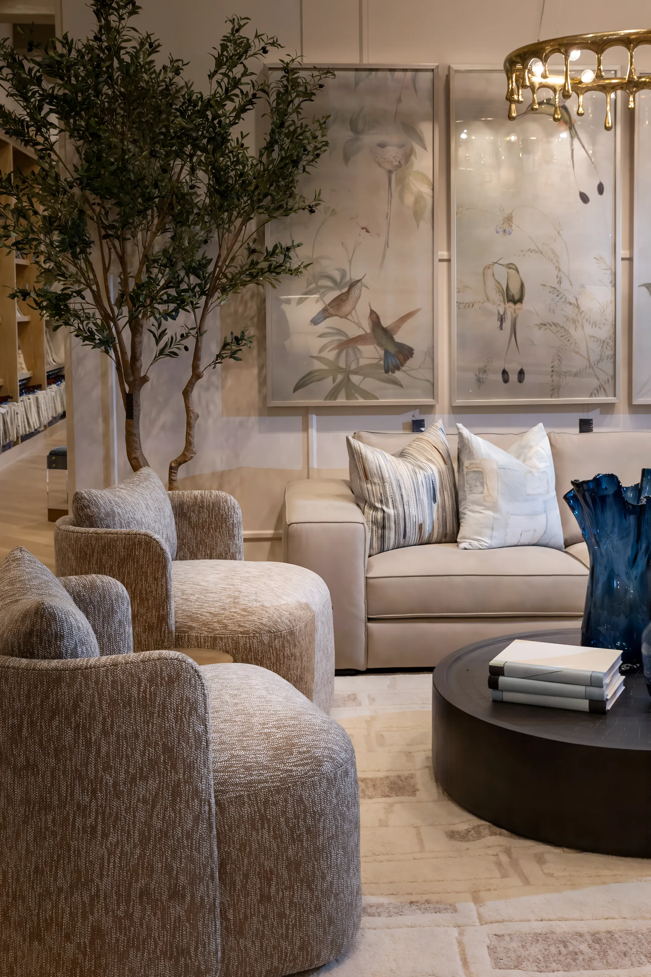 Residential Living Rooms
