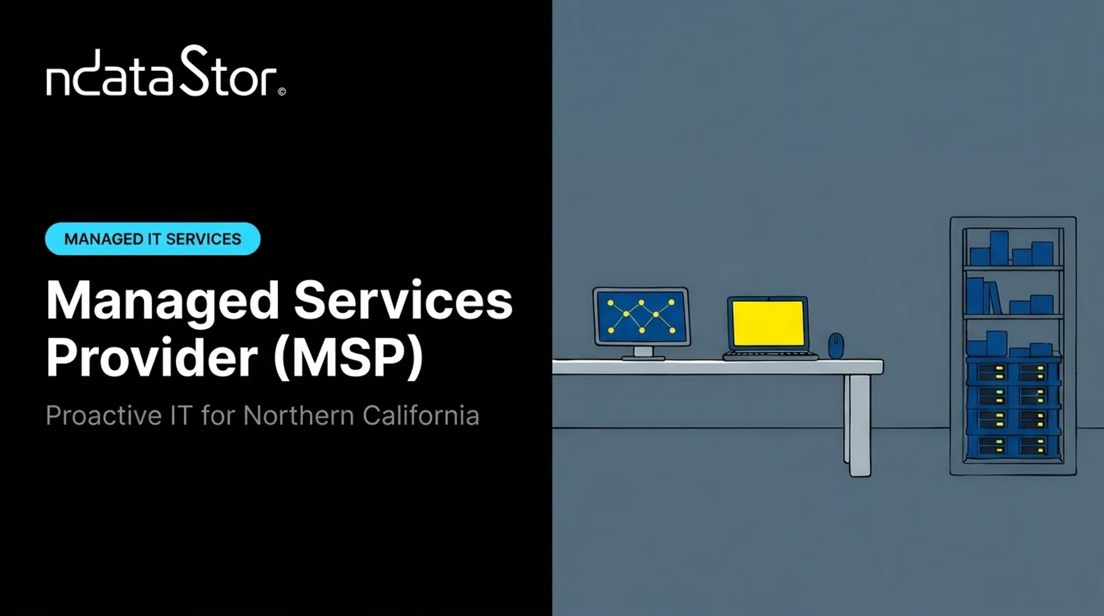 Managed Services Provider (MSP)