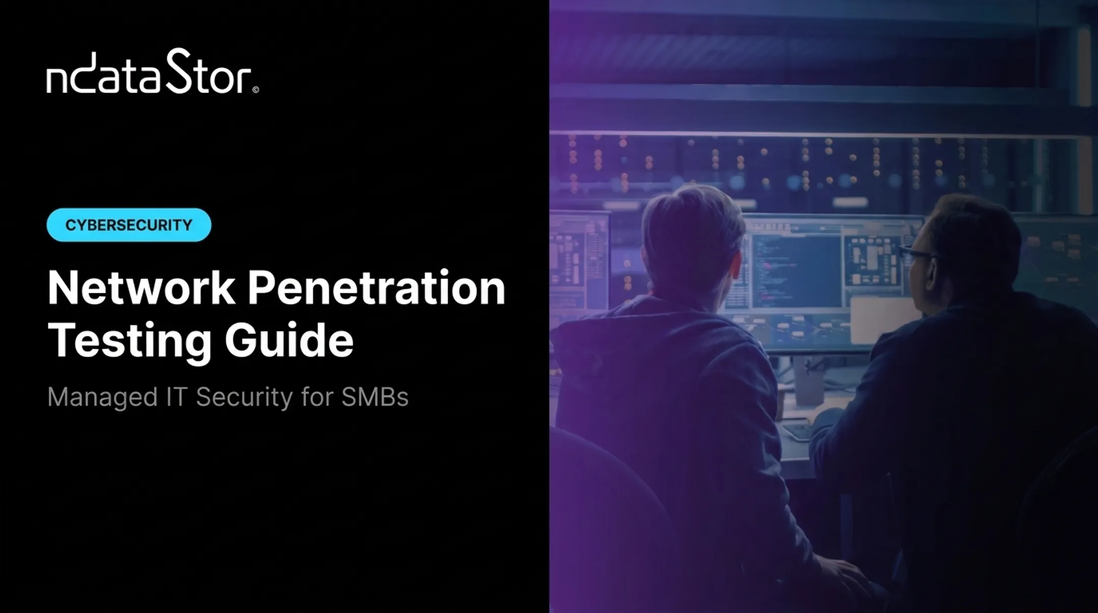 Network Penetration Testing Guide