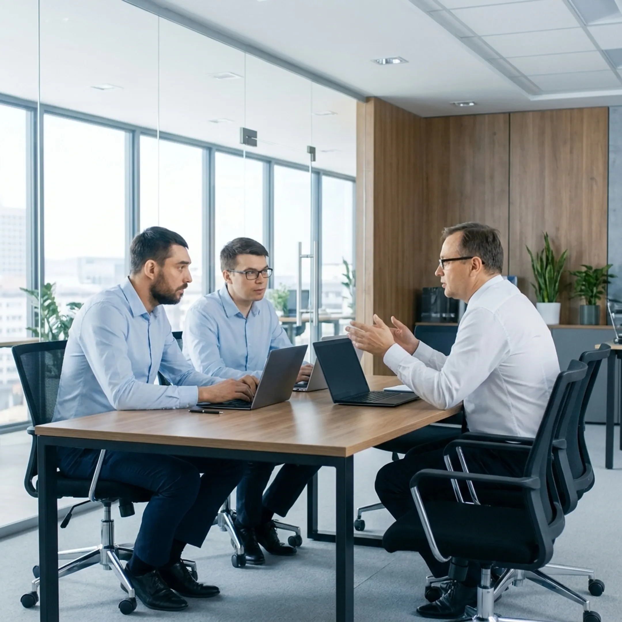 Consultant discussing a customized IT strategy with a business team
