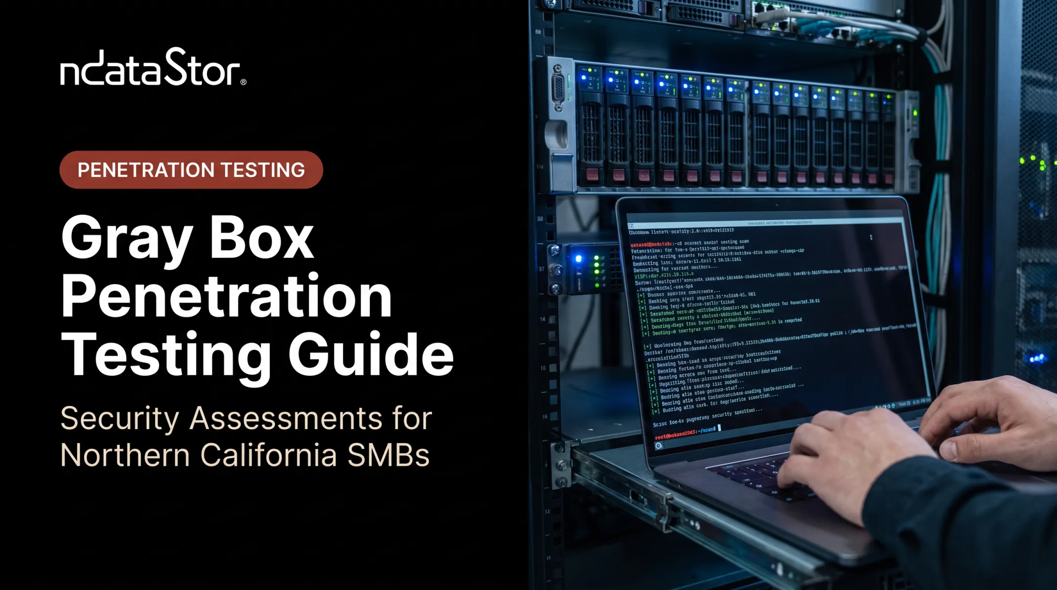 Gray Box Penetration Testing Guide