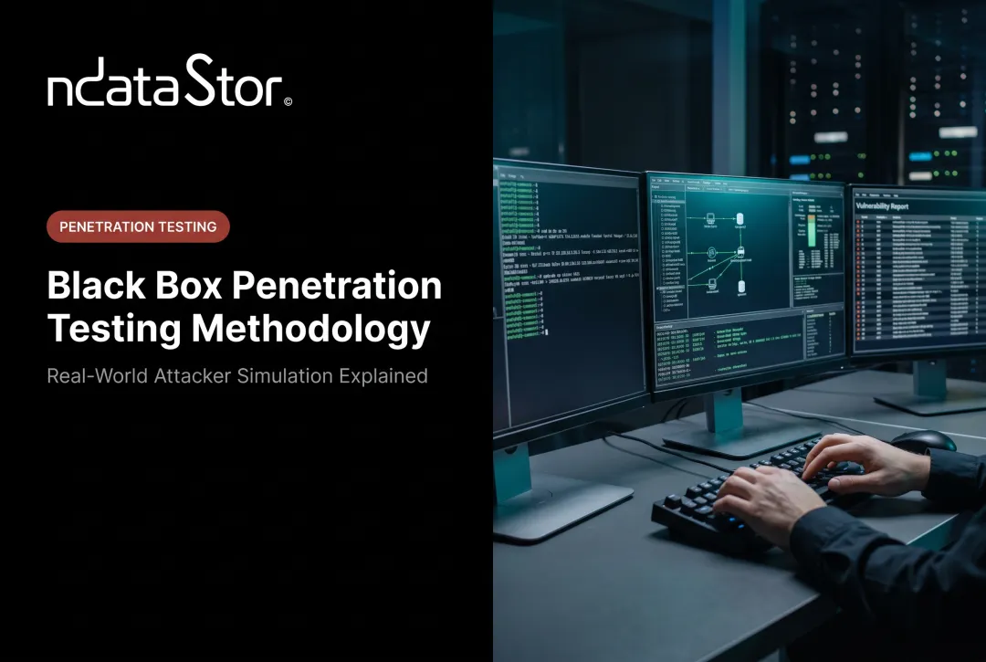Black Box Penetration Testing Methodology