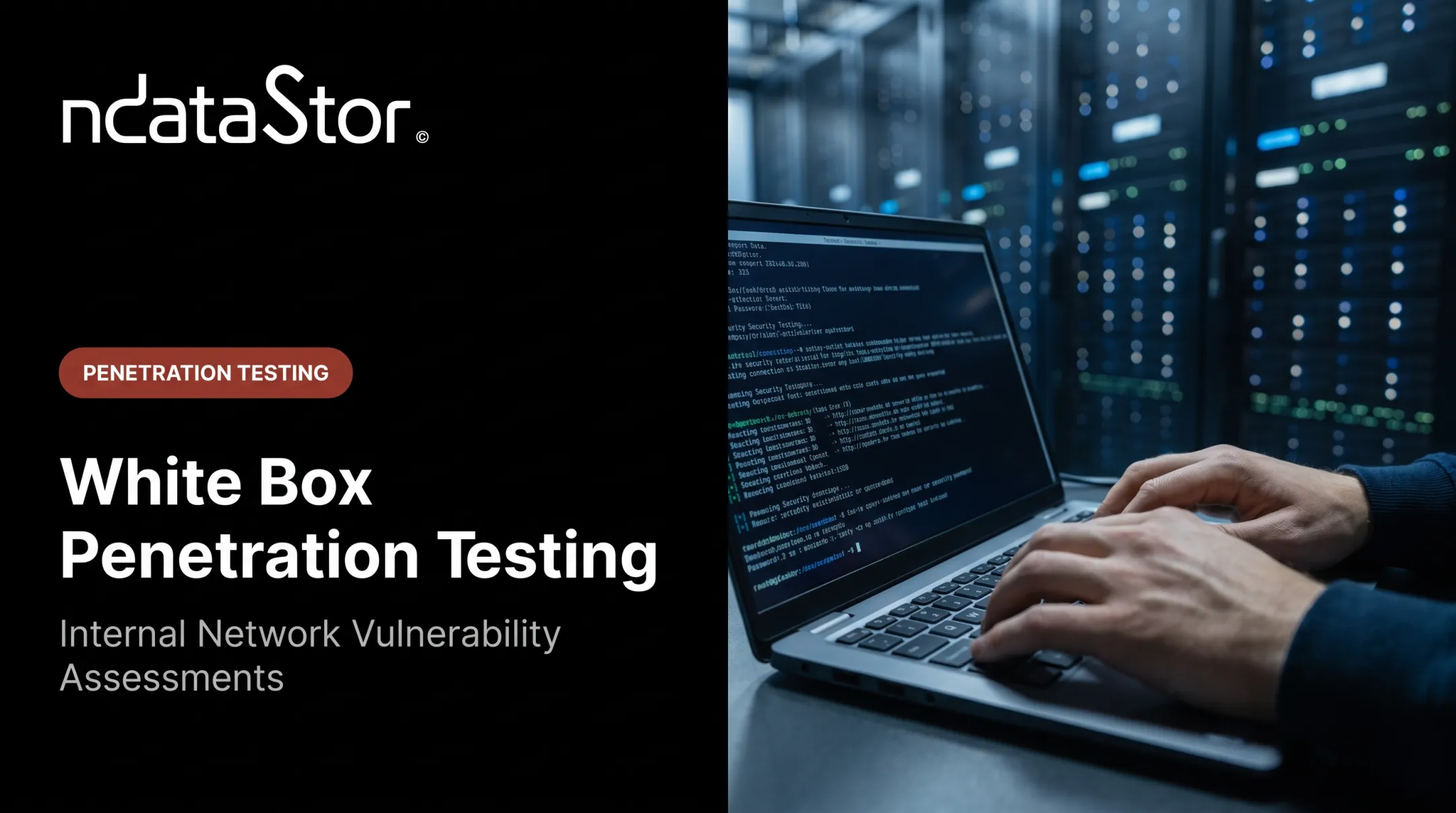 White Box Penetration Testing