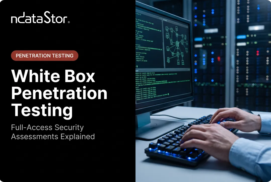 White Box Penetration Testing