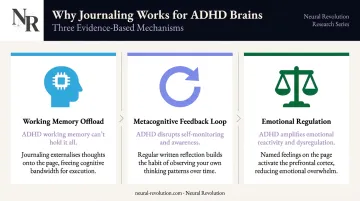 Three ADHD journaling mechanisms working memory metacognition emotional regulation infographic