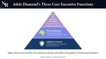 Three core executive functions pyramid showing inhibitory control working memory and cognitive flexibility