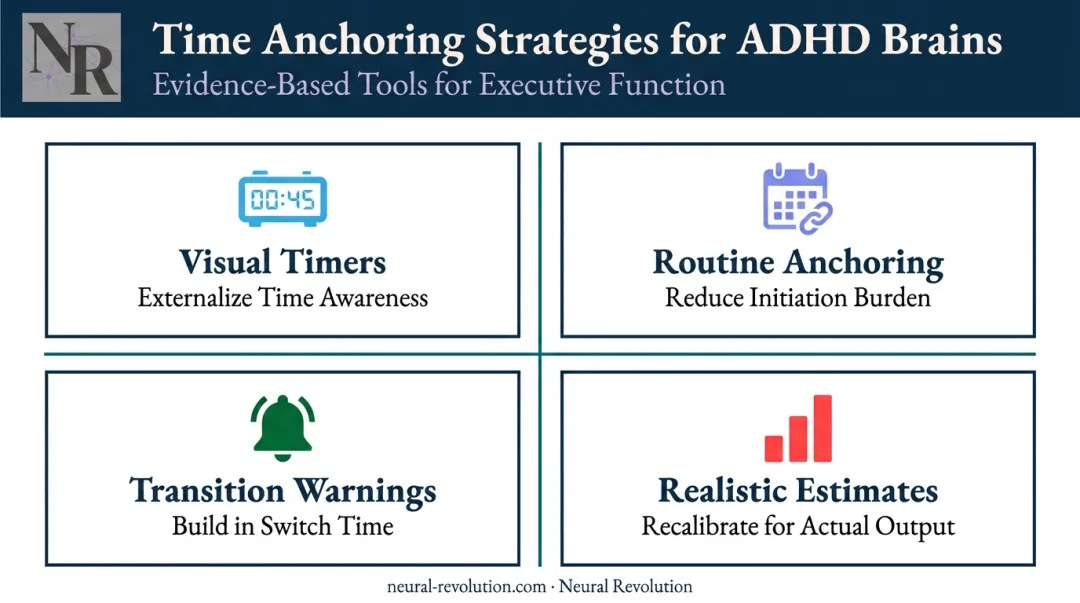 Four ADHD time management strategies infographic with external anchors and accountability tools