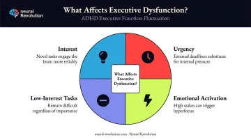 Four factors affecting ADHD executive dysfunction fluctuation interest urgency emotion and task type