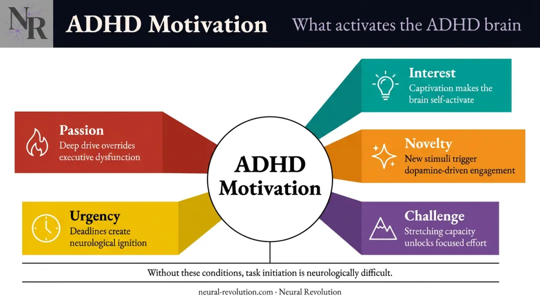 ADHD brain motivation five activation conditions interest novelty challenge urgency passion