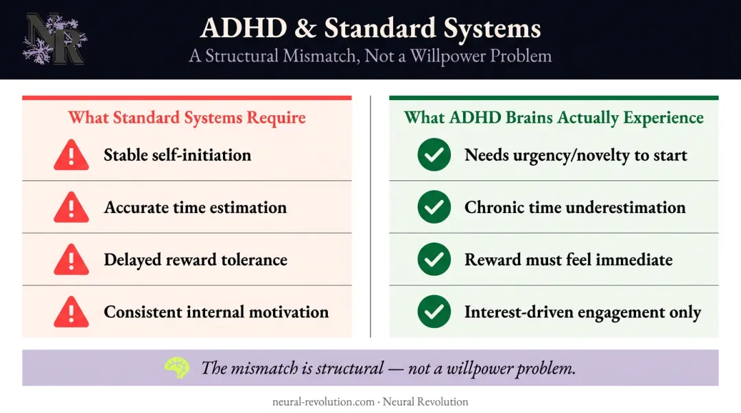 Standard productivity systems versus ADHD brain needs comparison breakdown infographic