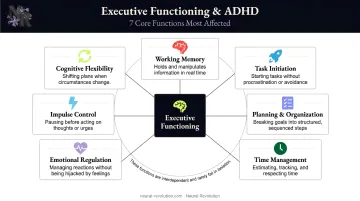 Seven executive functions affected by ADHD adults visual overview infographic