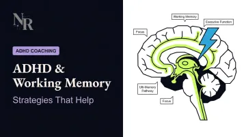 ADHD & Working Memory: Strategies That Help
