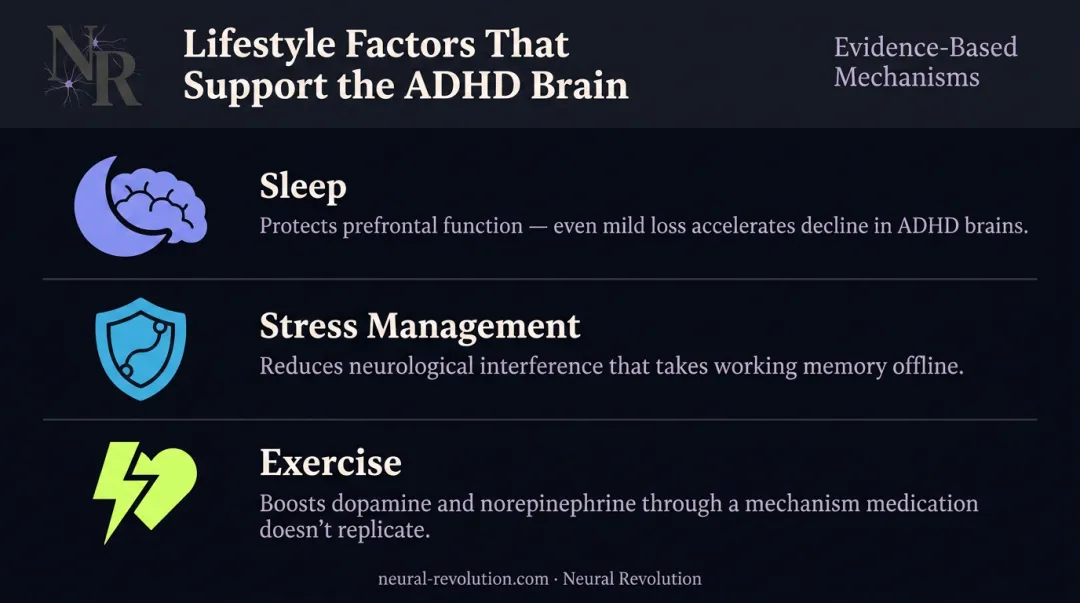 Three lifestyle factors with direct measurable impact on ADHD working memory capacity