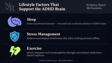 Three lifestyle factors with direct measurable impact on ADHD working memory capacity