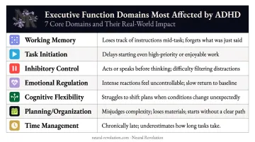 Seven ADHD executive function domains and daily life impact comparison chart