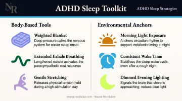 ADHD sleep toolkit comparison of body-based and environmental strategies side by side