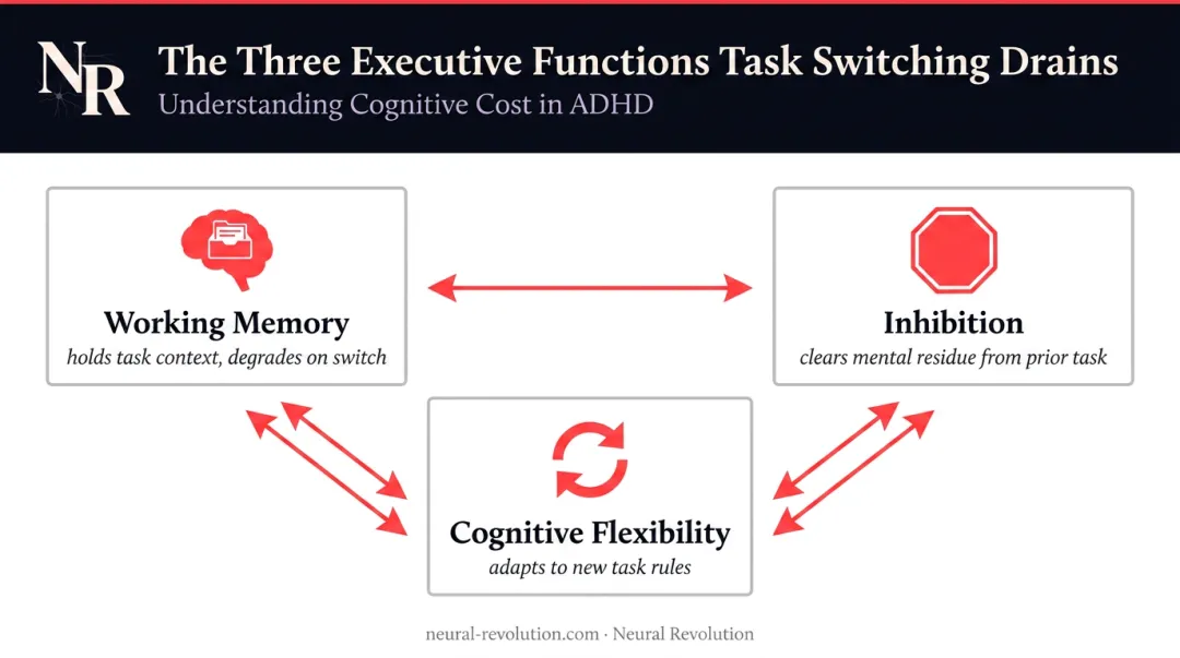 Three ADHD executive functions impaired by task switching process infographic