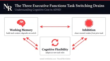 Three ADHD executive functions impaired by task switching process infographic