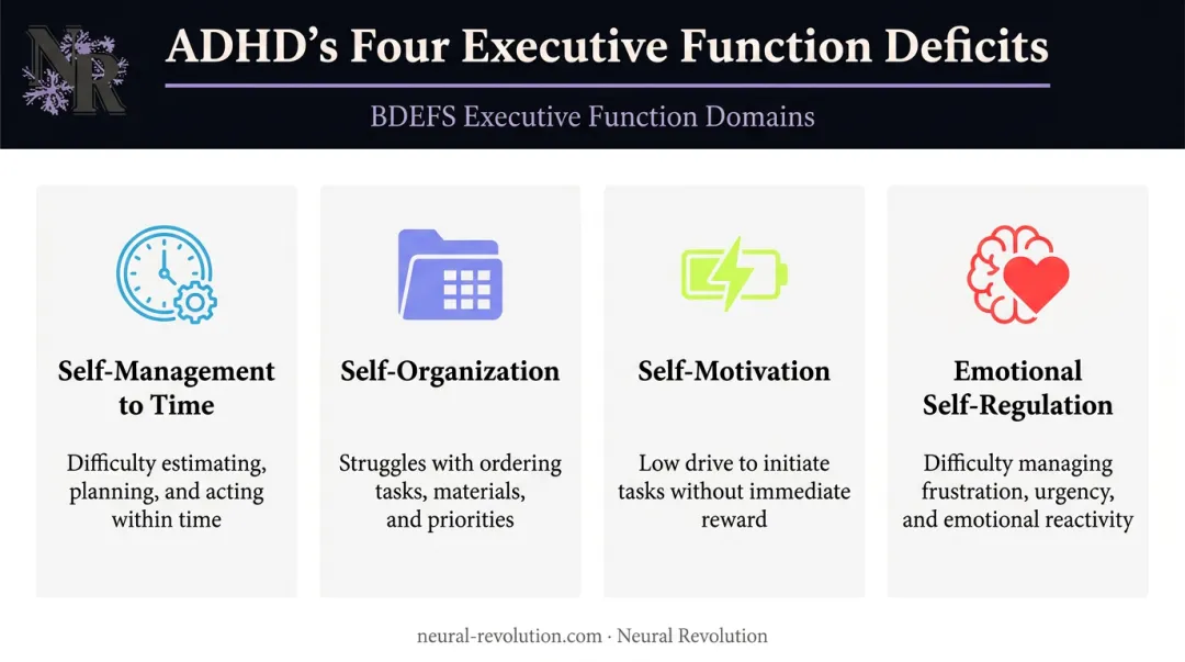 Four ADHD executive function domains affecting time management breakdown infographic
