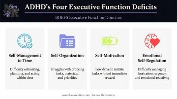 Four ADHD executive function domains affecting time management breakdown infographic