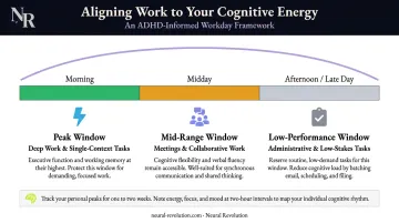 ADHD daily cognitive peak window scheduling framework timeline infographic