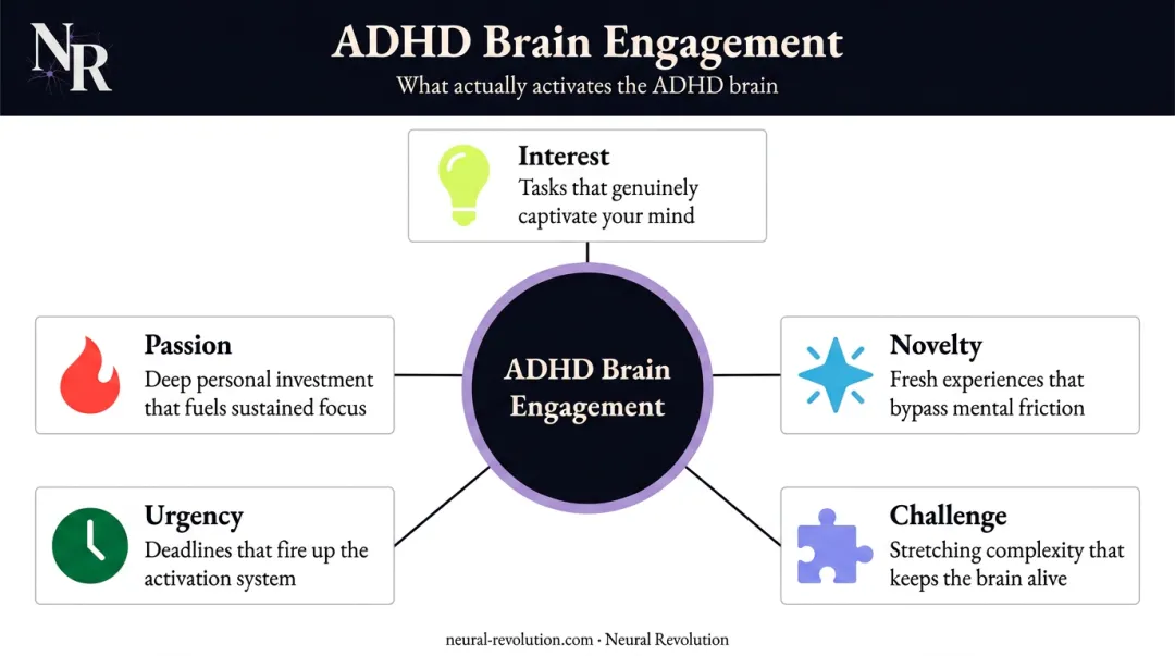 Five ADHD brain engagement signals interest novelty challenge urgency passion infographic