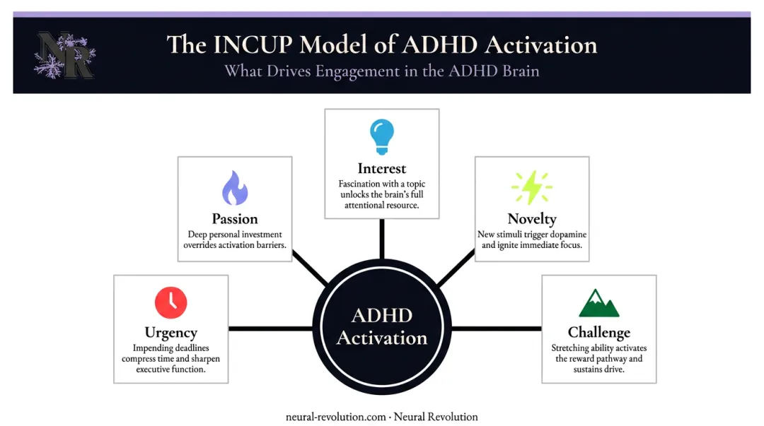 ADHD interest-based nervous system INCUP model five activation factors