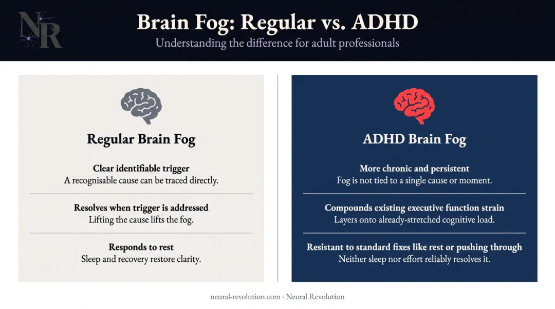 ADHD brain fog versus regular brain fog key differences comparison infographic