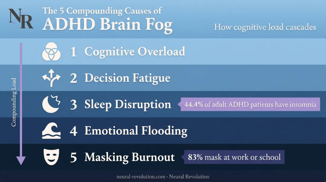 Five compounding ADHD brain fog causes from overload to masking burnout
