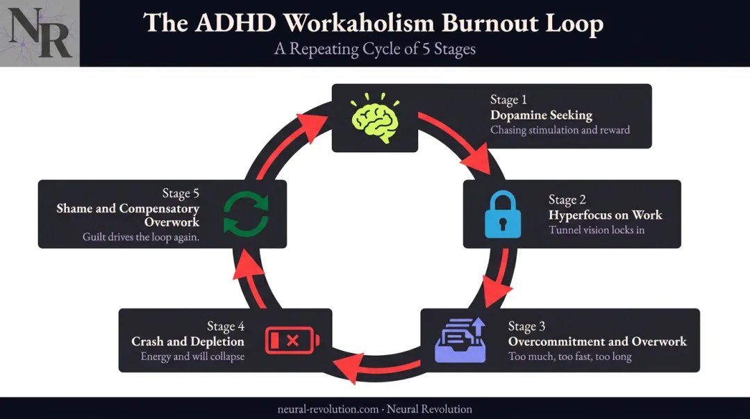 ADHD workaholism burnout cycle driven by dopamine regulation loop