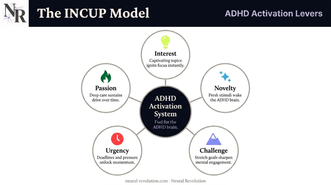 ADHD INCUP model five activation levers interest novelty challenge urgency passion