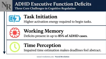Three ADHD executive function deficits task initiation working memory time perception