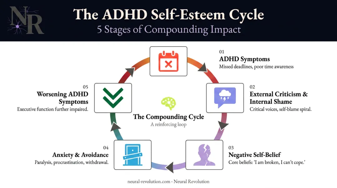 5-step ADHD low self-esteem compounding cycle diagram with feedback loop