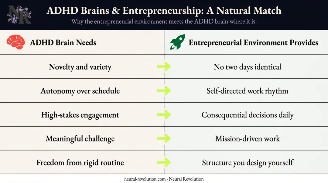 ADHD brain needs versus entrepreneurial environment two-column comparison infographic