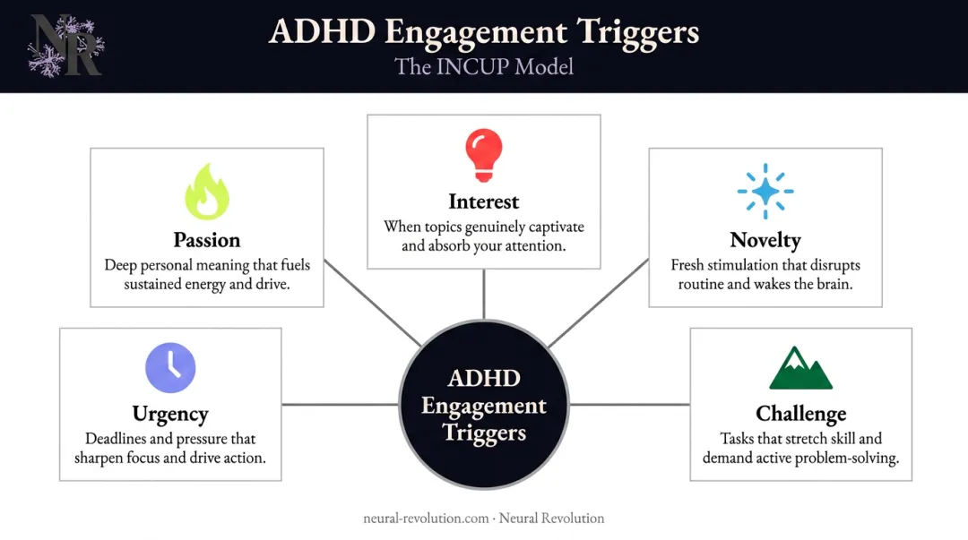 INCUP model five ADHD brain engagement conditions process infographic