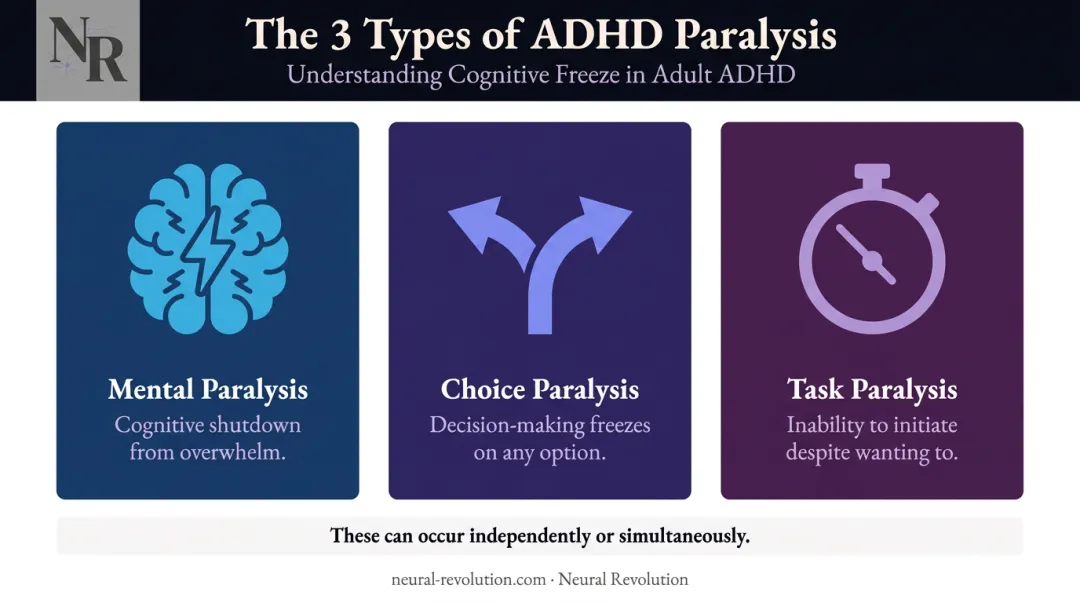 Three types of ADHD paralysis mental choice and task explained visually