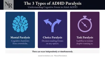 Three types of ADHD paralysis mental choice and task explained visually