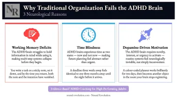 Three ADHD brain barriers to organization working memory time blindness dopamine