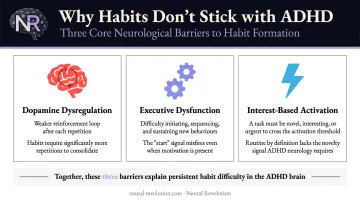 Three ADHD brain barriers to habit formation executive dysfunction time blindness dopamine