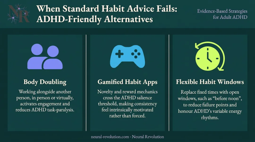 Three alternative ADHD habit strategies body doubling gamification flexible habit windows