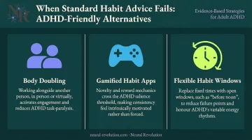 Three alternative ADHD habit strategies body doubling gamification flexible habit windows
