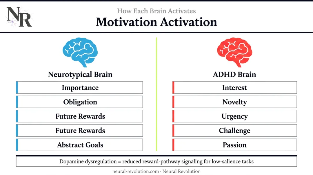 ADHD interest-based nervous system versus neurotypical importance-based motivation comparison