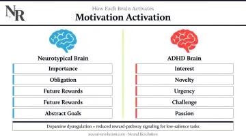 ADHD interest-based nervous system versus neurotypical importance-based motivation comparison