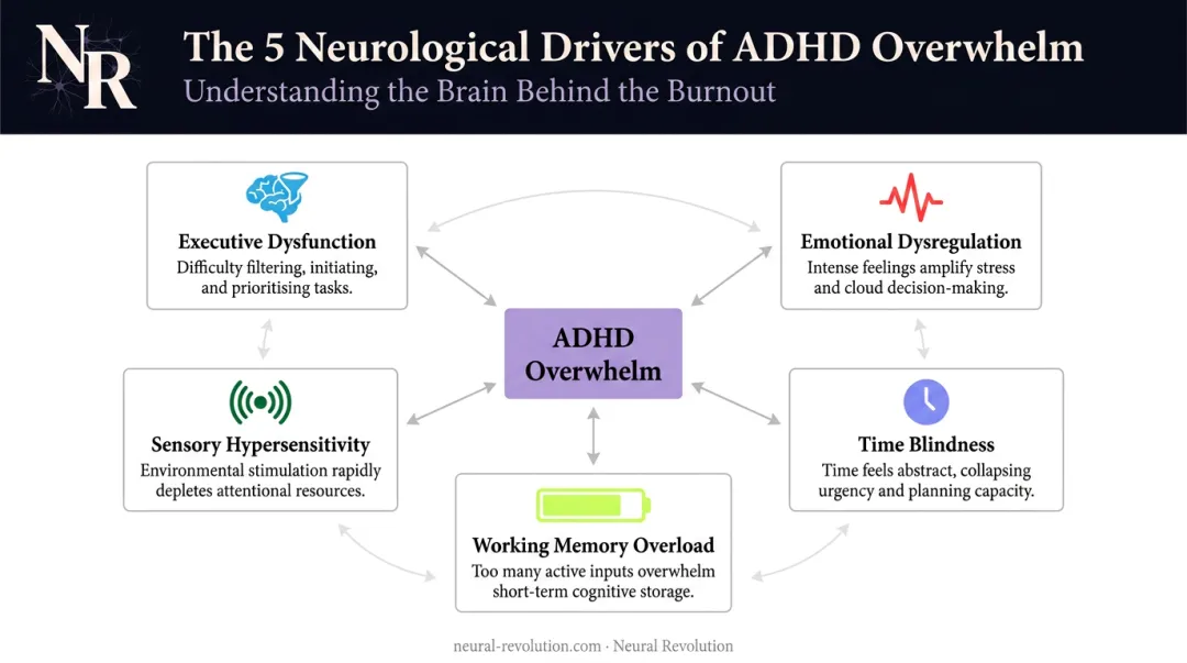 Five ADHD neurological overwhelm factors interaction diagram infographic