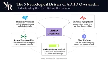 Five ADHD neurological overwhelm factors interaction diagram infographic