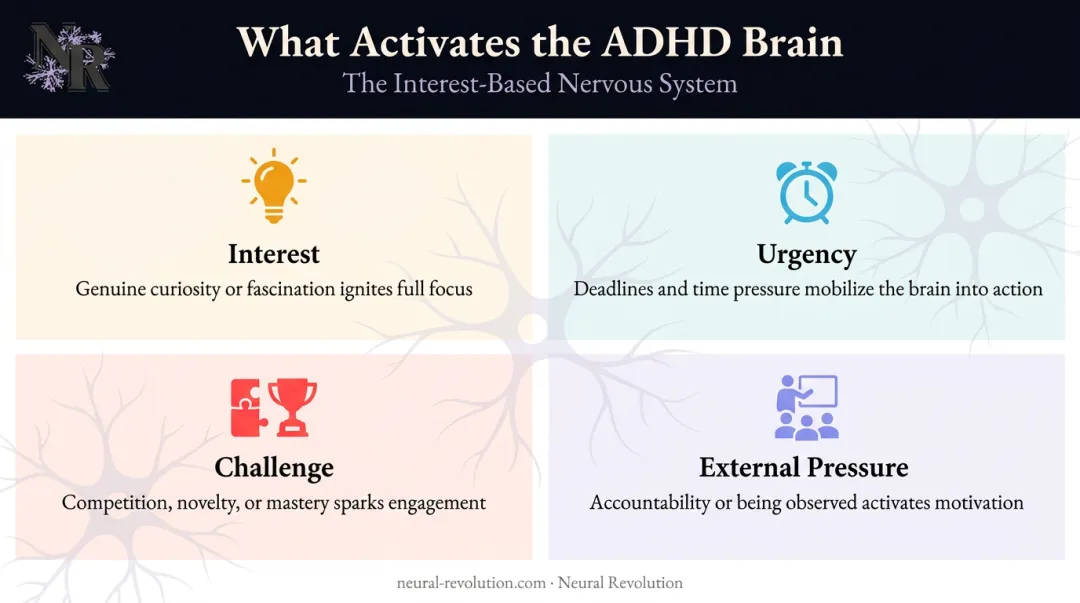 Four ADHD interest-based motivation drivers infographic with activation icons