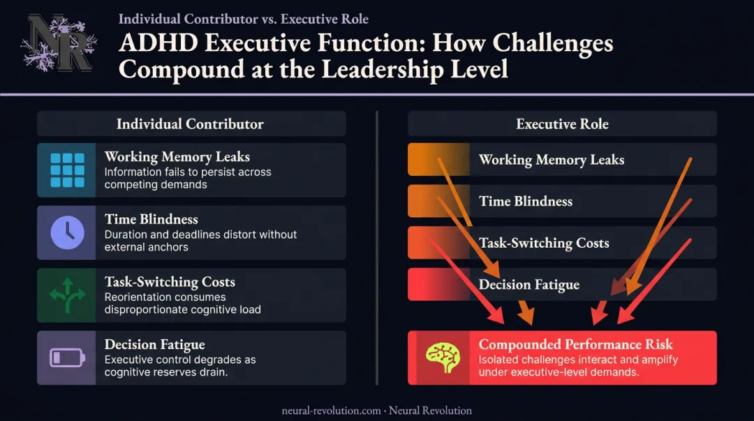 ADHD executive function challenges compounding across senior leadership roles infographic
