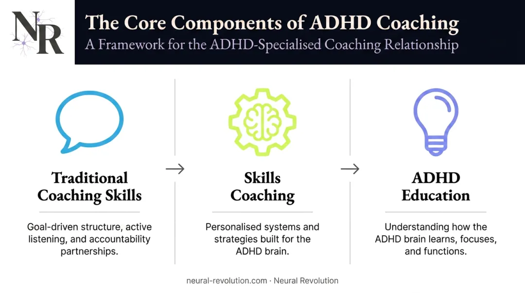 Three core elements of ADHD coaching framework visual breakdown
